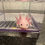 Thumbnail: "Gloria" Leucistic Melanoid Axolotl