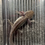 Thumbnail: "Glitz Grove" Wildtype Axolotl (DNA Confirmed Female)