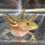 Thumbnail: "Citris Splash" RFP Hypomelanistic Axolotl (Unsexed)