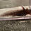 Thumbnail: "Spangler" Axanthic Axolotl