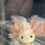 Thumbnail: "Wellington" Dirty Leucistic Melanoid Axolotl (Unsexed)