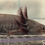 Thumbnail: "Velvet Strand Labs" Melanoid Axolotl (Unsexed)