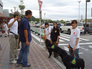 Bocalan en Japón