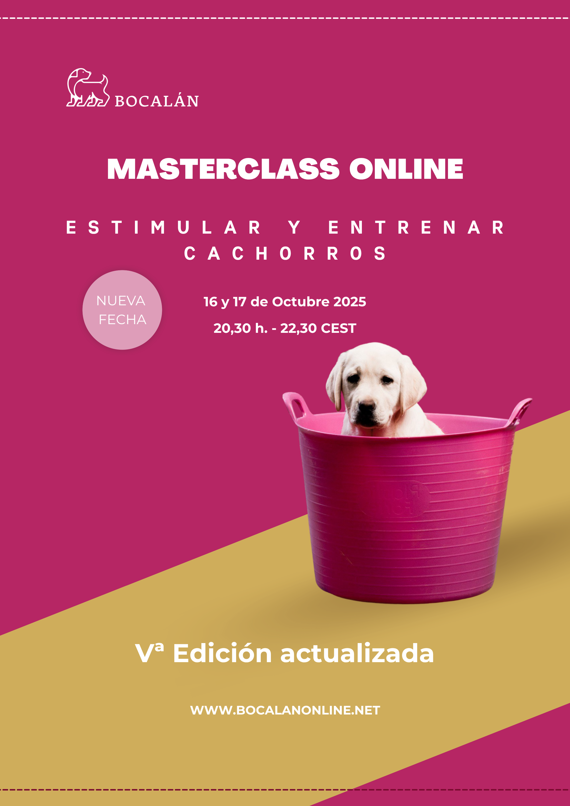 Estimular y Entrenar Cachorros