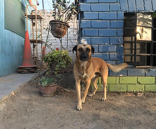 WhatsApp Image 2026-02-01 at 02.59.54.jpeg