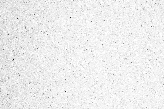 Paper Texture_edited.jpg