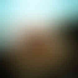 Sea turtle on the Big Island in Hawaii