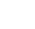 noun-hand-with-bird-3819903-FFFFFF.png