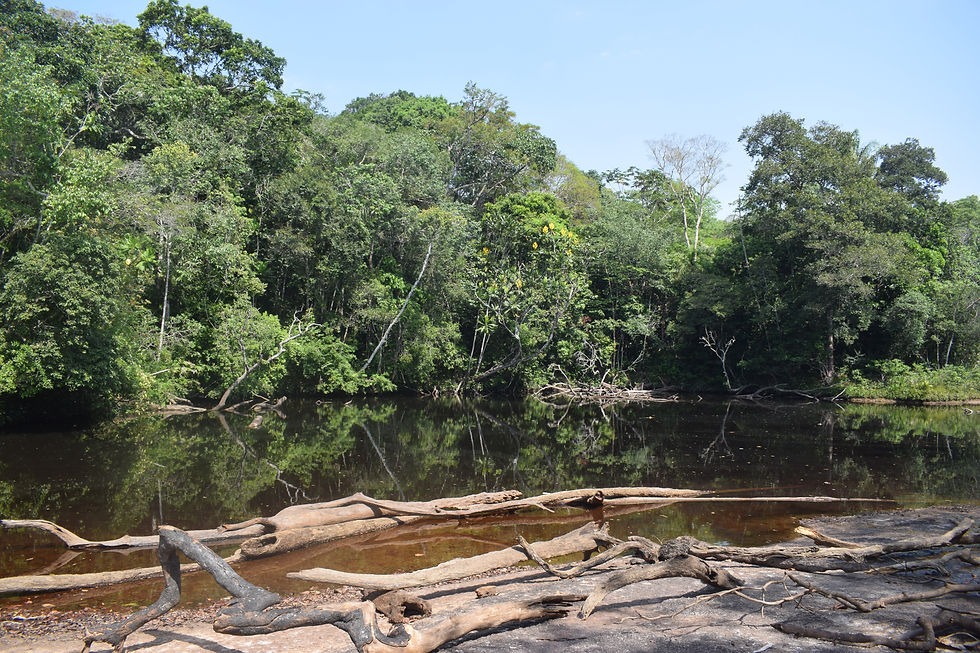 Charco Indio
