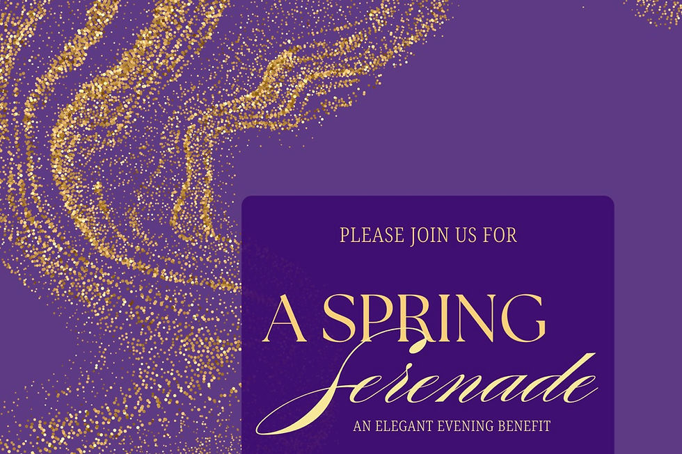 Voena Spring Fundraiser