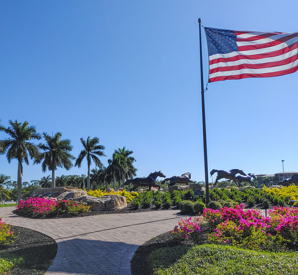 Freedom Horses at Lely Resort