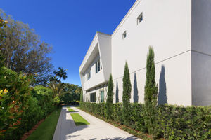 Driveway & Privacy Wall