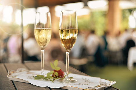 Justyna Ponulak Violin Wedding Services San Diego