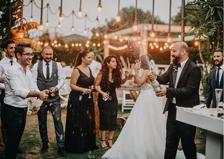 Justyna Ponulak Violin Wedding Services San Diego