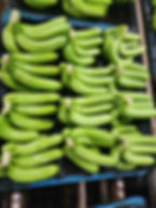 Fresh banana for export Vietnam16
