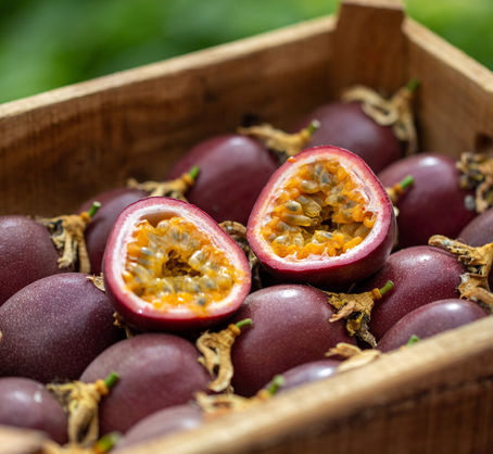 Vietnam – The World’s Leading Exporter of Passion Fruit