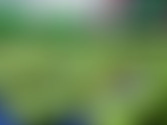 Bưởi Việt Nam Mở Rộng Thị Trường Xuất Khẩu