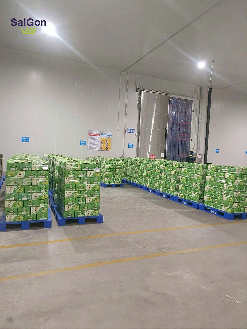 Vietnam Fresh Seedless Lime for export3