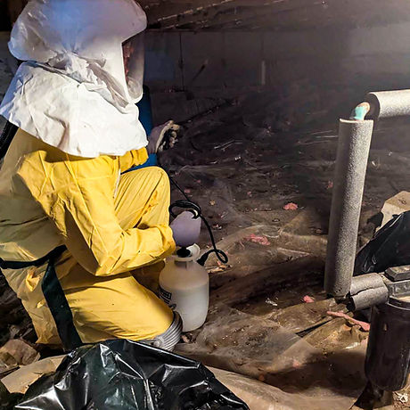 Rodent waste and attic cleanup by Poland & Son LLC, Knox County Maine handyman service