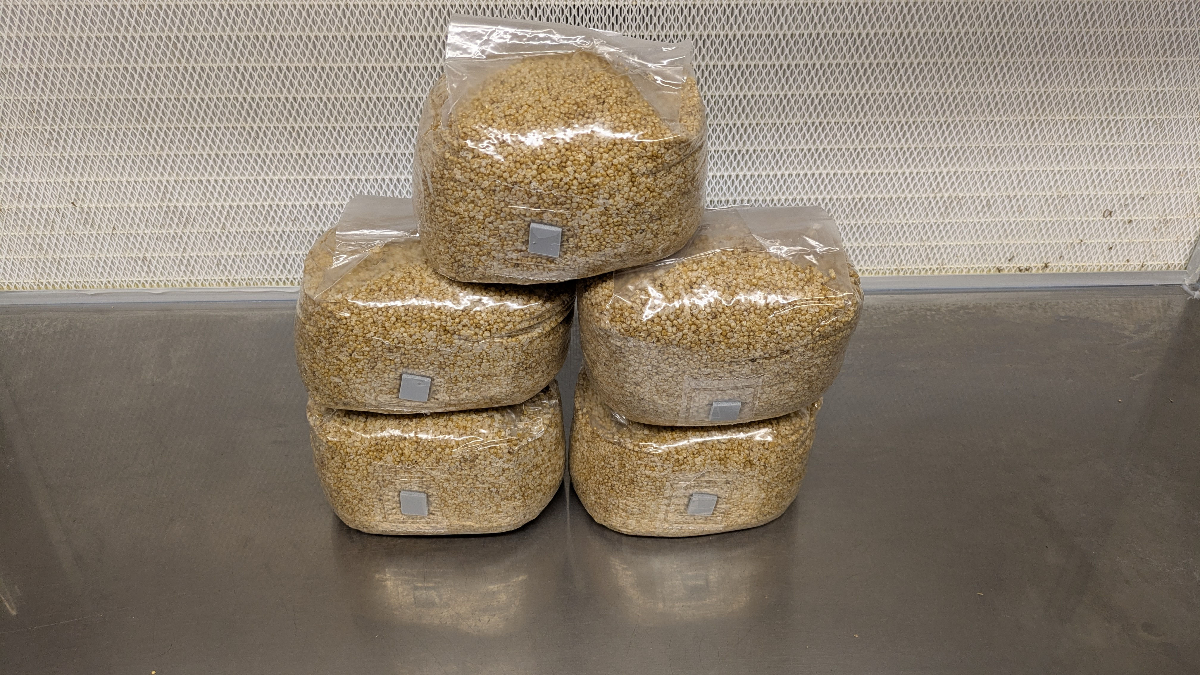 5 Bags of Spawn-Tek Mushroom 3 lbs Millet Grain Bag
