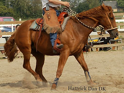 Hattric spin_edited.jpg