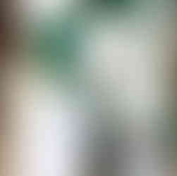 Stickers & Tags for Welcome Boxes and Bags | Custom Stickers for Gifts | Tag with Monogram | Paper Daisies