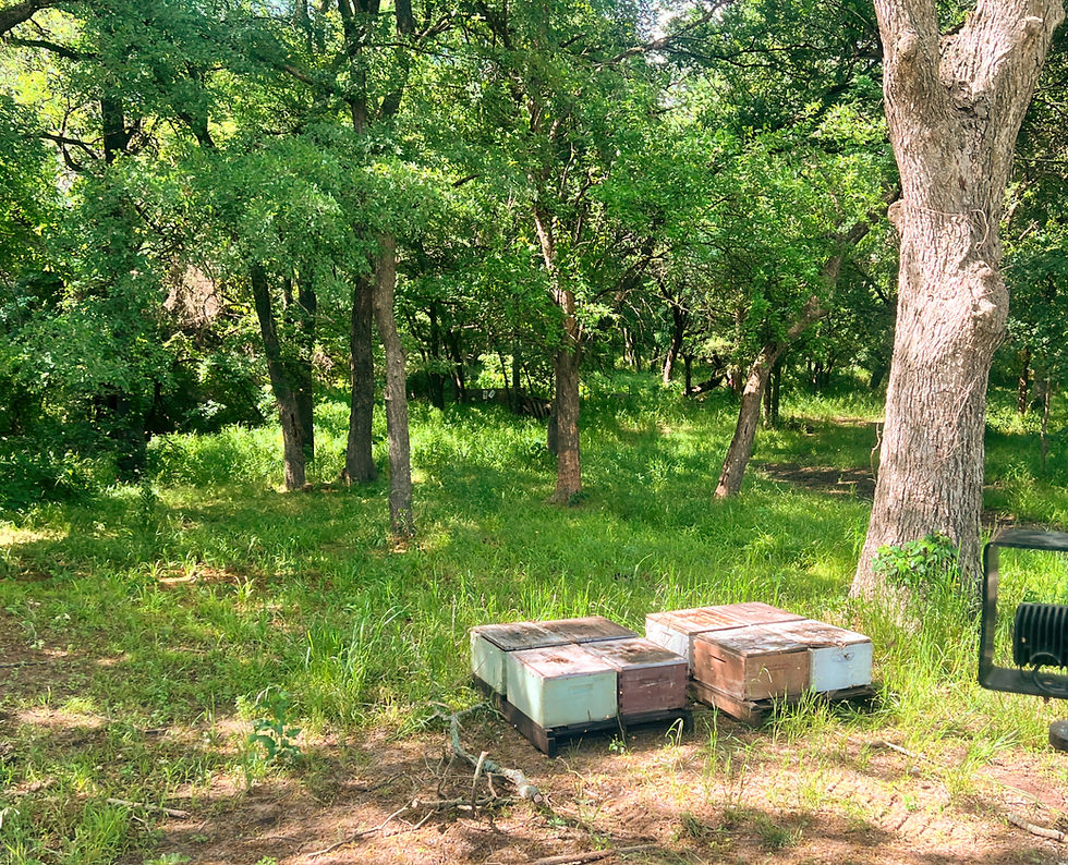 Minimum Acreage for an Ag Exemption in Texas: How Many Acres Do You Really Need? (2026)
