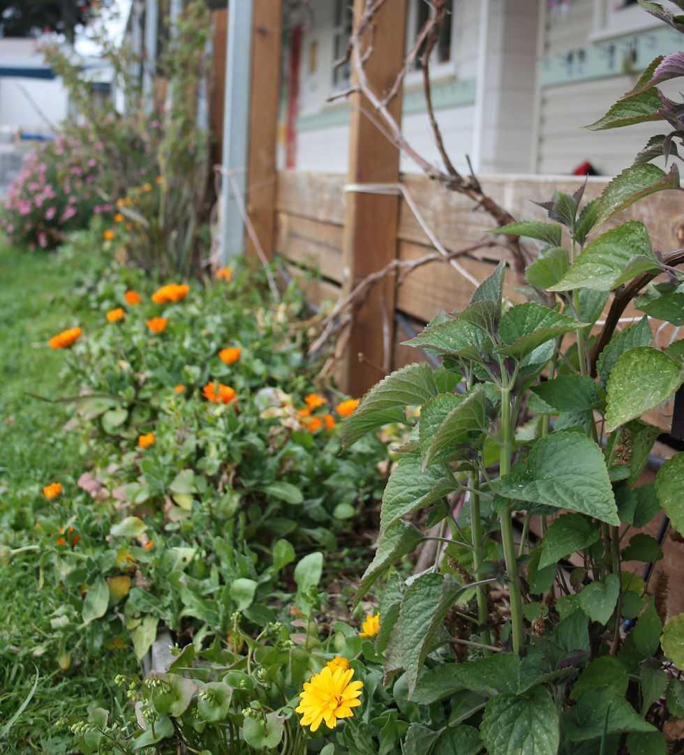 Diverse planting