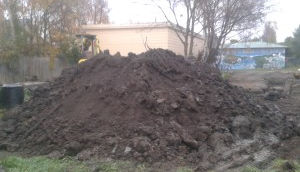 Heartless destruction of garden