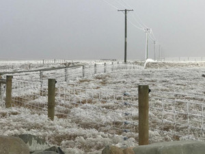 Hoar Frost