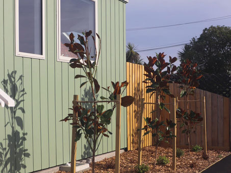 Landscaped garden with Magnolia trees beside a light-green building Christchurch