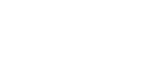 NZIA.png