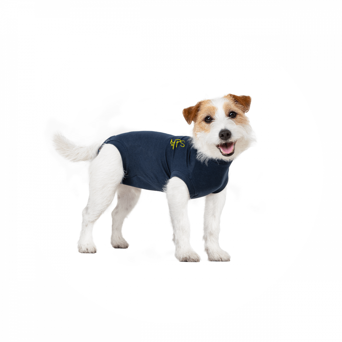 Medical shirt for dogs clearance