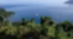 ree