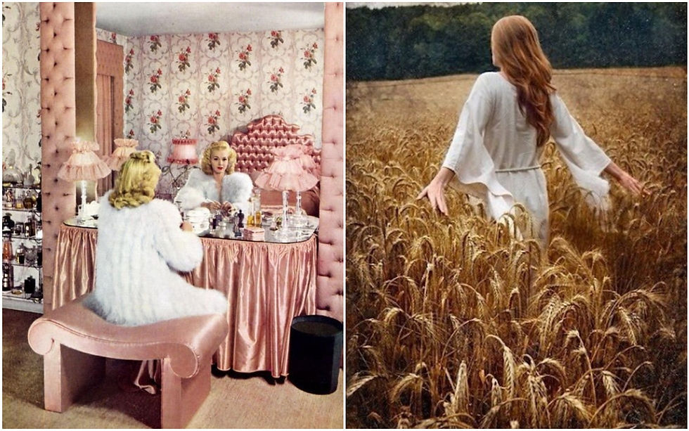 "Salon" and "Steppe" image types
