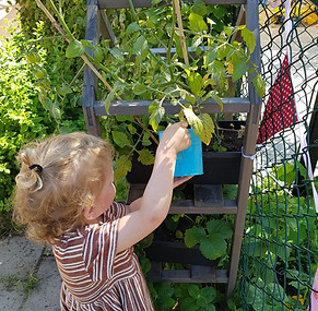 WhatsApp Image 2022-07-01 at 12.11.22 PM.jpeg