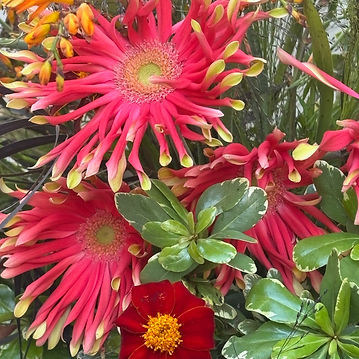 pink and yellow florals with intermixed greenery