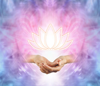 The Sacred Lotus - female cupped hands