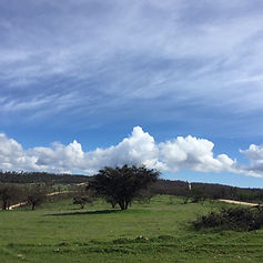 Parcelas VI Region