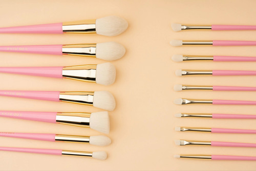 ZH brush set 17 pcs | Zoohlub beauty care