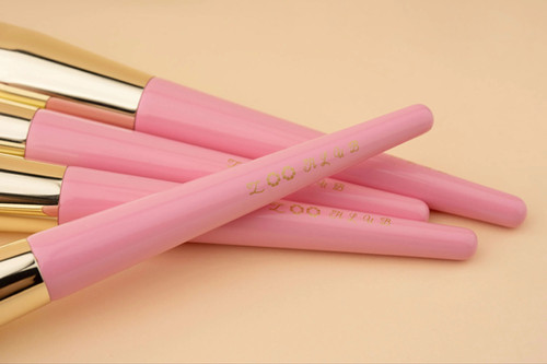 ZH brush set 17 pcs | Zoohlub beauty care