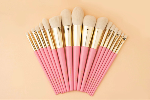 ZH brush set 17 pcs | Zoohlub beauty care