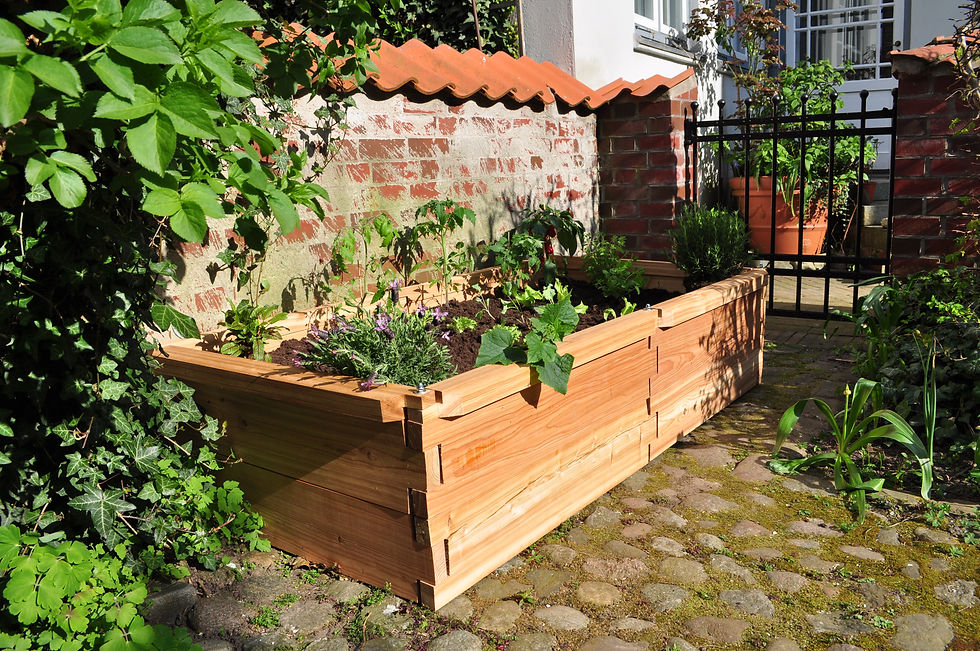 Miniaturbild: Hochbeet ca. 1 x 2 m, zweilagige Grundelemente mit Abschlusskante, im Hinterhof aufgestellt.