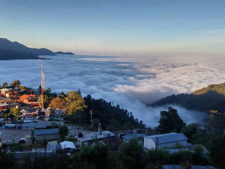 San José del PacÃfico: A Birthday Mushroom Trip