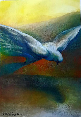 "De la serie Palomas"