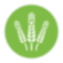 Agriculture-Green-Icon-PNG.png