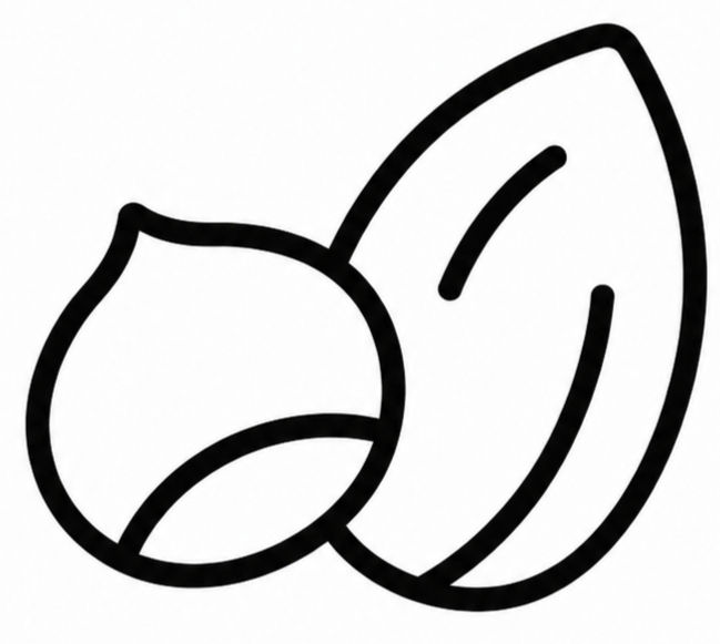 Line drawing of almonds for migraine management programme