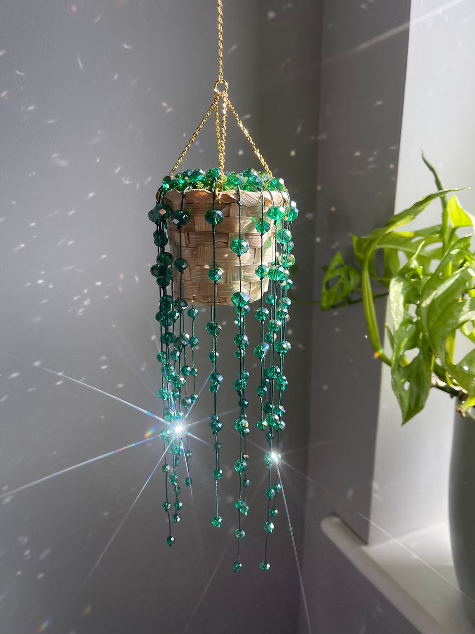 Thumbnail: String of Pearls Hanging Crystal Plant Suncatcher
