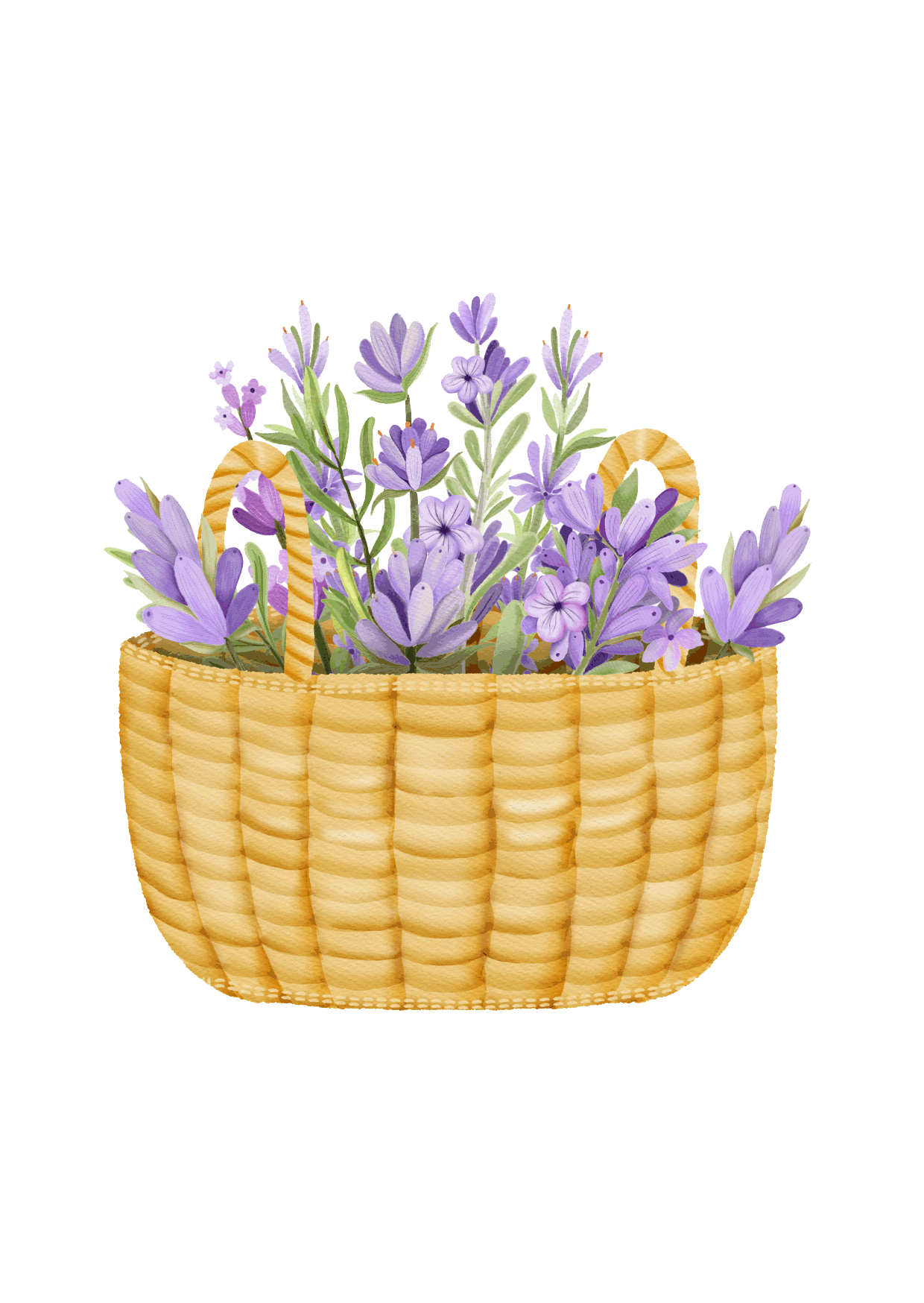 basket2.gif