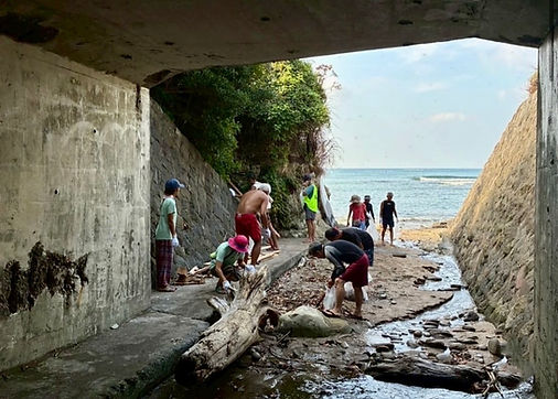 image_123650291 (5).JPG